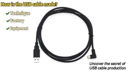 Câble USB Costom HD USB2.0 a mâle vers Mini USB B femelle 90 degrés pour une charge rapide et un transfert de données