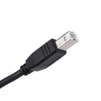 Câble de charge Usb 2.0 de haute qualité pour imprimante Usb A mâle à B connecteur mâle